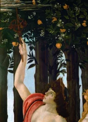 La Primavera
